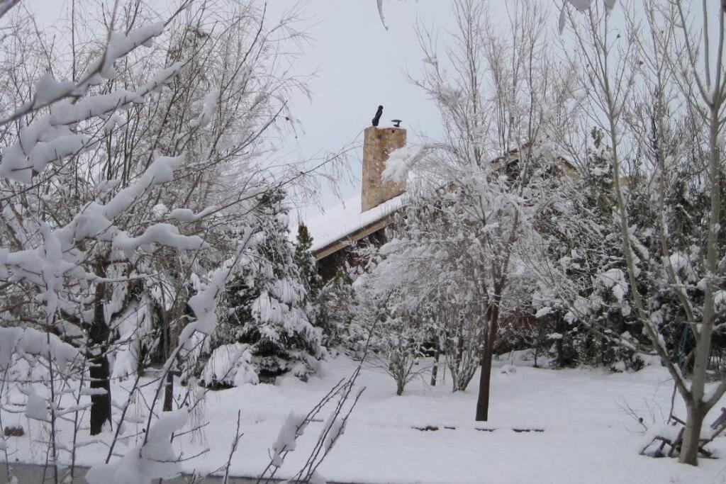 Casa En El Campo Con Encanto Almansa Exteriör bild