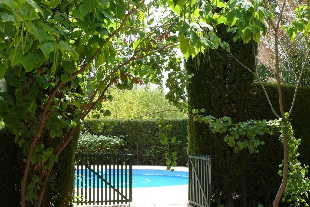 Casa En El Campo Con Encanto Almansa Exteriör bild